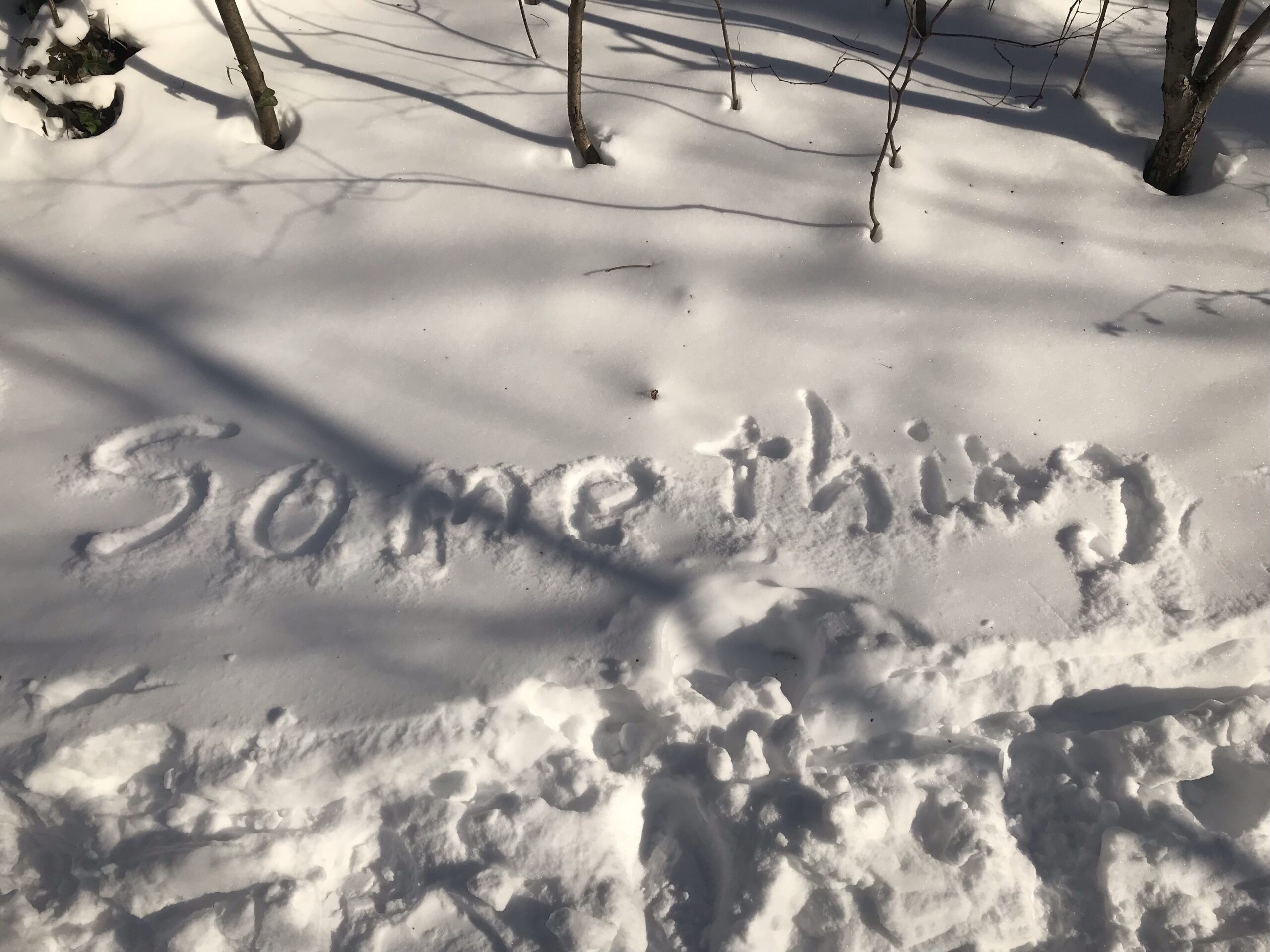The word "something" written in the snow